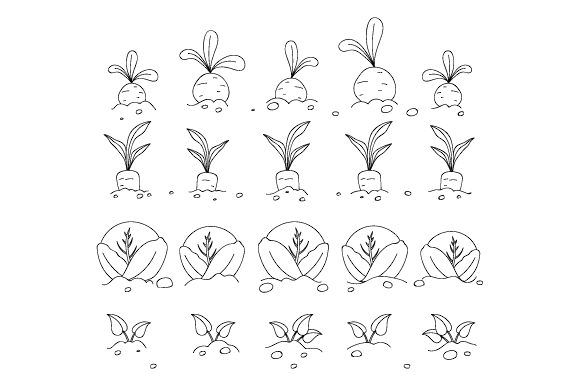 Vegetable-Garden-Coloring-Page-580x386 (1)